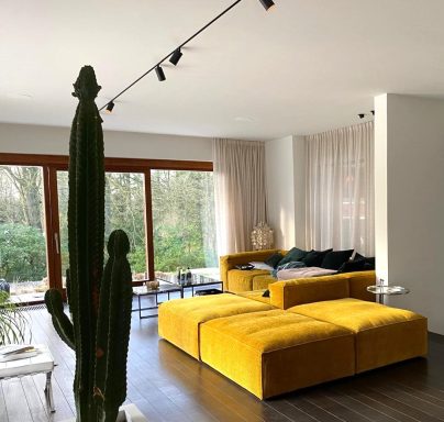 Un salon lumineux avec un canapé jaune et un cactus, vue sur un jardin.